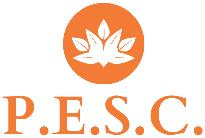 Programmes d'Enseignement Sportif et Culturel